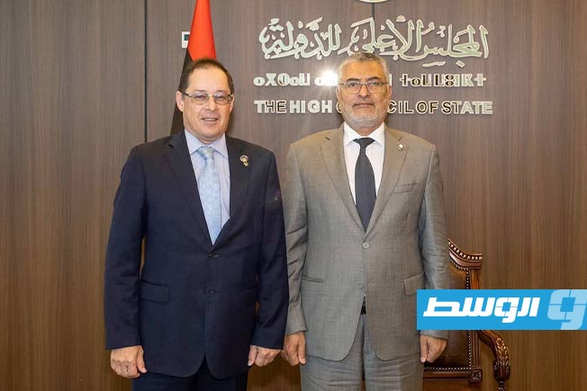 تكالة يبحث مع السفير الروسي «خريطة تيتيه» والأوضاع السياسية