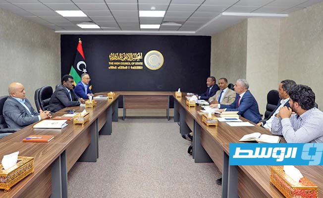 مجلس الدولة: لجنة «6+6» تبادلت وجهات النظر حول استراتيجية عملها