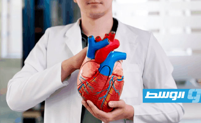 دراسة تكشف مفاجأة علمية.. للقلب «دماغ» خاص به