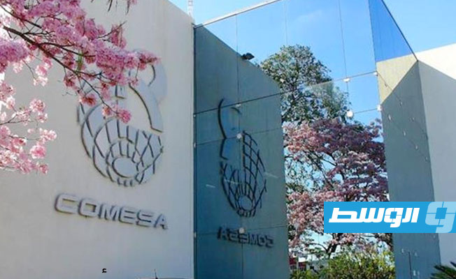 برئاسة مصرية.. الاقتصاد الرقمي في قمة «الكوميسا» الثلاثاء بالعاصمة الإدارية