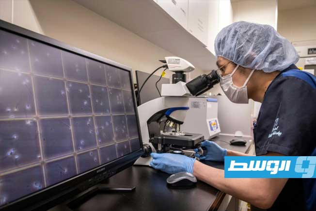 منظمة الصحة العالمية تنشر للمرة الأولى توجيهات لمكافحة العقم