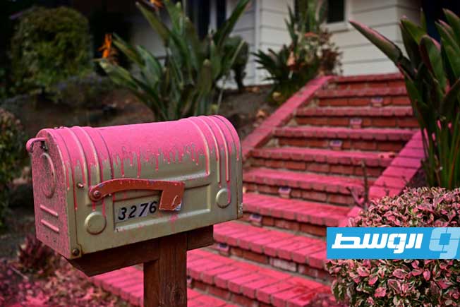 مشهد وردي في لوس أنجليس المنكوبة بالحرائق (صور وفيديو)