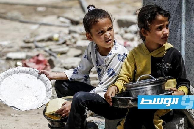 برنامج الأغذية العالمي: المساعدات التي تدخل غزة قطرة في بحر