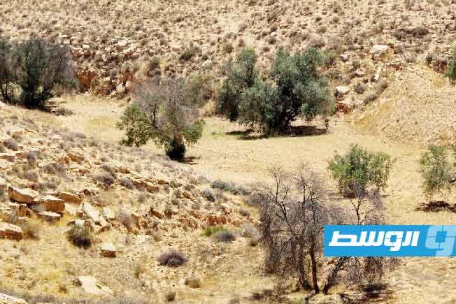 مصر الأولى والسعودية الثالثة.. ليبيا الثانية عالميا بين قائمة الدول الأكثر جفافا