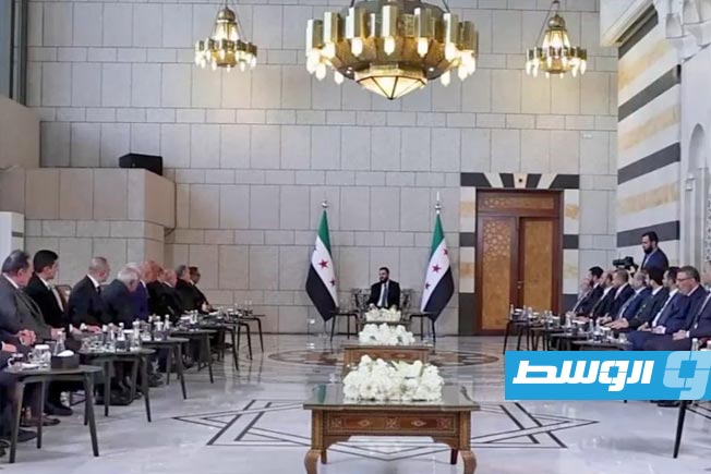 من الزراعة إلى الطاقة.. الشرع يرسم خريطة الشراكة الاقتصادية بين مصر وسورية