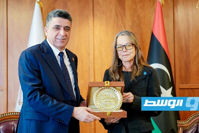 شكشك يبحث مع ريتشاردسون تعزيز الرقابة على المال العام
