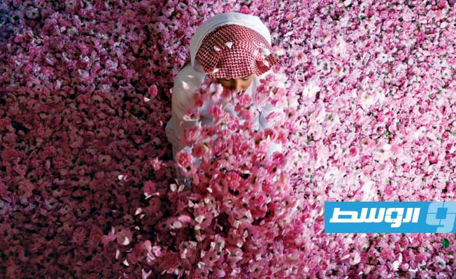 رمضان بنكهة الورد في الطائف