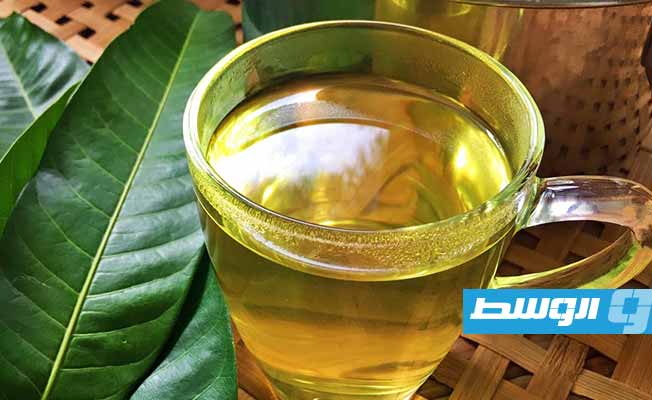 فوائد صحية لا حصر لها.. هل أكلت أوراق المانجو؟