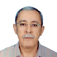 أنور الكبير